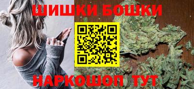 сатива Новодвинск