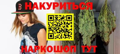 сатива Новодвинск