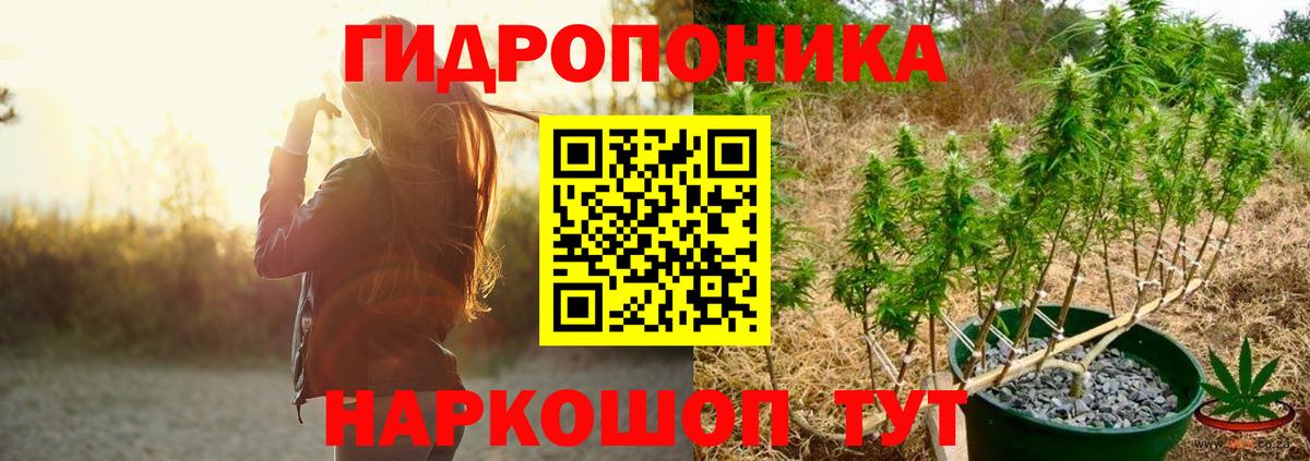 Бошки Шишки LSD WEED  Конопля тримм  Нефтекамск  Вход с VPN  Каннабис сатива 